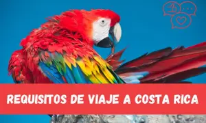 Kolorowy ara na tle błękitnego nieba. Pod nim napis "Requisitos de viaje a Costa Rica". Kostaryka, gdzie leży ten raj dla ptaków, czeka na odkrycie!