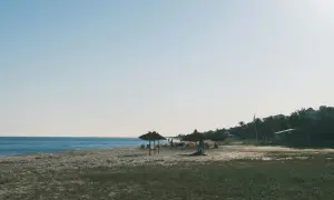 Spokojne tunezyjskie plaże z palmami i słomianymi parasolami. Idealne miejsce na relaks.