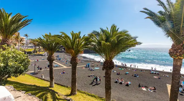 Palmy nad czarną plażą playa de la arena, gdzie ludzie odpoczywają na leżakach.