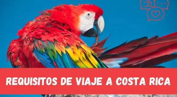 Kolorowy ara na tle błękitnego nieba. Pod nim napis "Requisitos de viaje a Costa Rica". Kostaryka, gdzie leży ten raj dla ptaków, czeka na odkrycie!