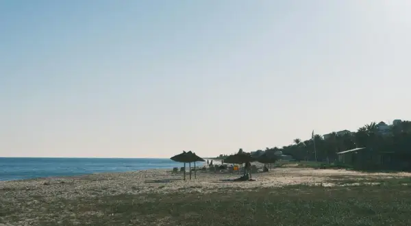 Spokojne tunezyjskie plaże z palmami i słomianymi parasolami. Idealne miejsce na relaks.