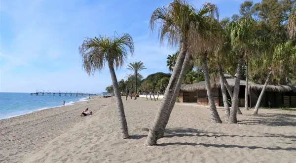 Piękny marbella beach z palmami, piaskiem i błękitnym niebem. W oddali widać molo i kilka osób.