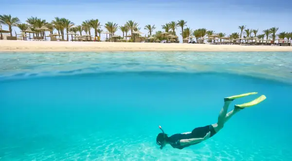 Egipt last minute all inclusive najtaniej: nurkowanie w turkusowej wodzie, palmy i piaszczysta plaża. Idealne wakacje!
