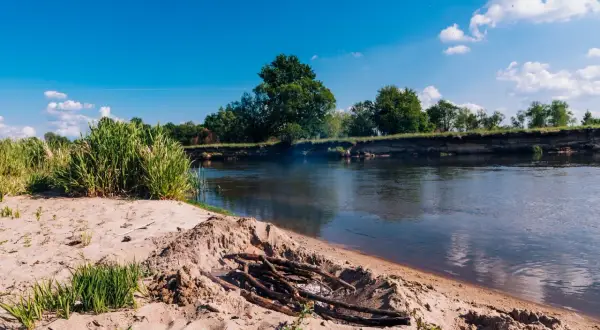 Piaskowa plaża nad Wartą, z ogniskiem i zielonymi zaroślami. W tle drzewa i błękitne niebo.