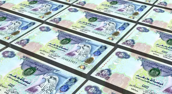 Stos banknotów z wizerunkiem sokoła, symbolizujący walutę w Dubaju.
